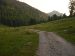 2013-07-20_Regina-F-Rau_Kochel-Rabenkopf (553)b.JPG